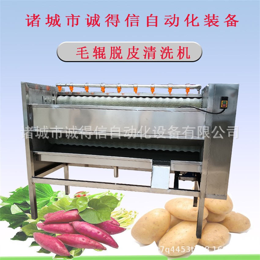商用大型全自动果蔬毛辊脱皮清洗机 马蹄莲藕毛刷脱皮清洗机图2