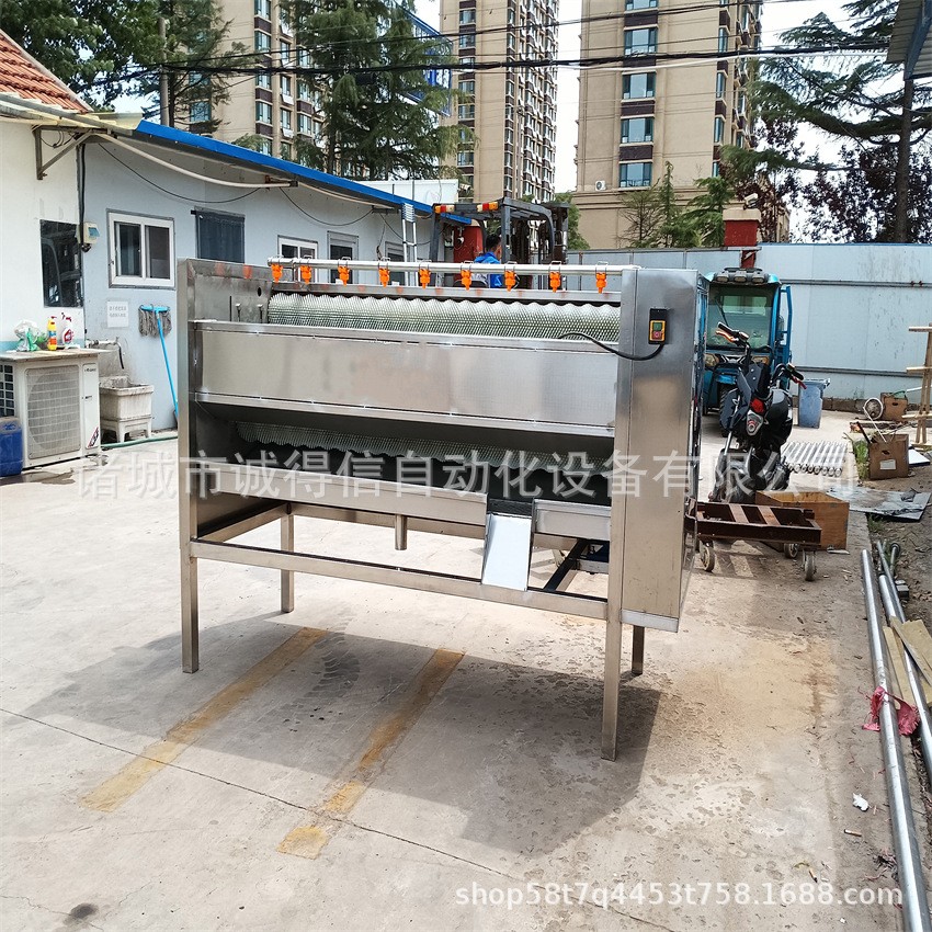 商用大型全自动果蔬毛辊脱皮清洗机 马蹄莲藕毛刷脱皮清洗机图4