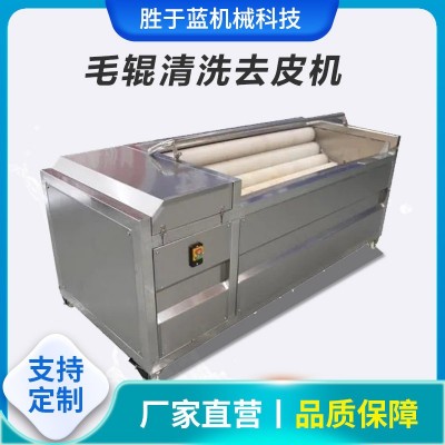 全自动海蛎子扇贝清洗机 大葱去皮清洗设备 猕猴桃毛辊清洗机