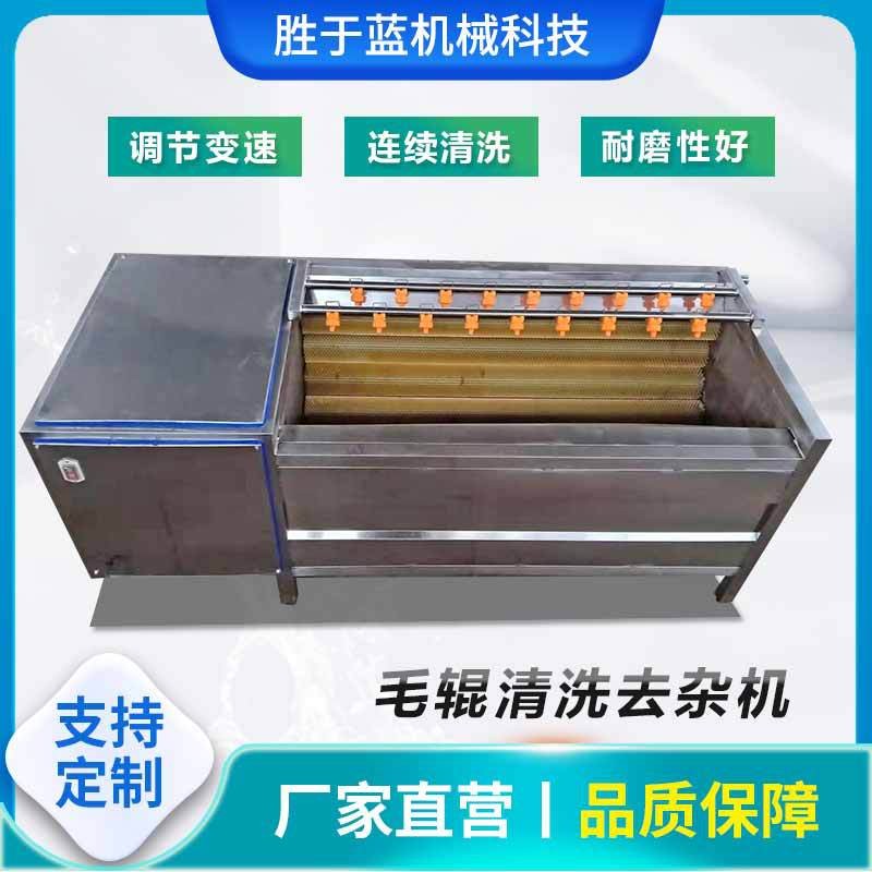 全自动海蛎子扇贝清洗机 大葱去皮清洗设备 猕猴桃毛辊清洗机图2