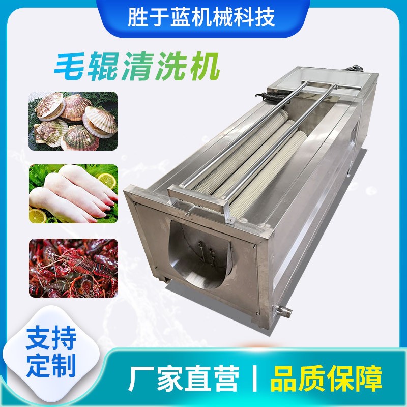 全自动海蛎子扇贝清洗机 大葱去皮清洗设备 猕猴桃毛辊清洗机图3