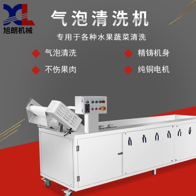 旭朗气泡清洗机全自动小型葡萄红枣水果风干洗菜机果蔬清洗机工厂