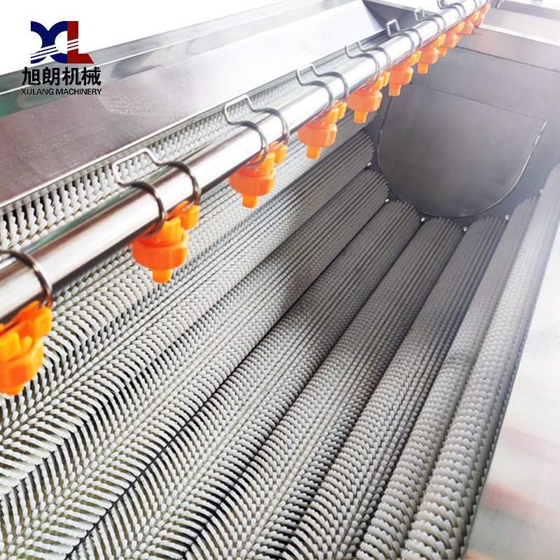 旭朗全自动毛刷清洗机大型脐橙土豆水果蔬菜毛辊果蔬清洗机厂家图3