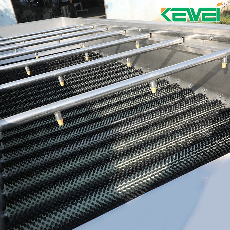 厂家供应毛刷清洗机土豆去皮机全自动胡萝卜红薯生产线清洗机图3