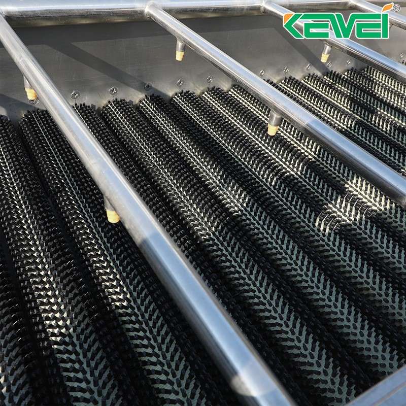 厂家供应毛刷清洗机土豆去皮机全自动胡萝卜红薯生产线清洗机图4