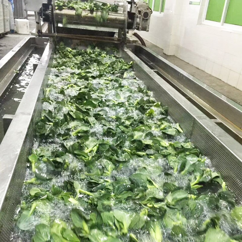 全自动气泡清洗机去除农药蔬菜洗菜机可批发洗菜机商用果蔬清洗机图3