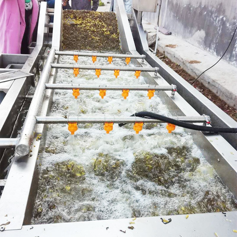全自动气泡清洗机去除农药蔬菜洗菜机可批发洗菜机商用果蔬清洗机图2