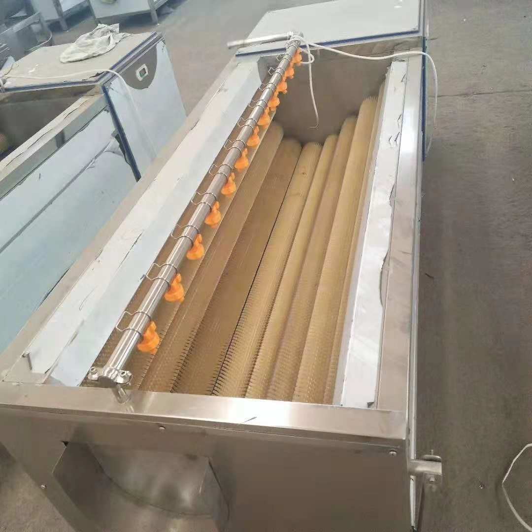 罗汉果清洗机 毛桃黄桃平行毛辊清洗机 大姜去皮去泥沙毛辊清洗机图3