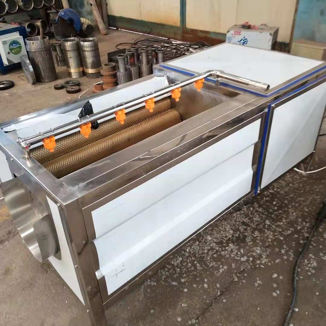 罗汉果清洗机 毛桃黄桃平行毛辊清洗机 大姜去皮去泥沙毛辊清洗机图4
