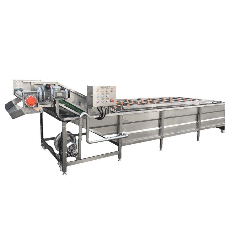 全自动气泡果蔬玉米去须清洗机 圣女果气泡清洗机毛辊清洗机图5