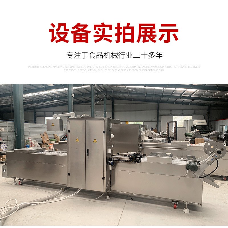 食品真空包装机DLZ420蜜薯干小香薯全自动连续式拉伸膜真空包装机图3