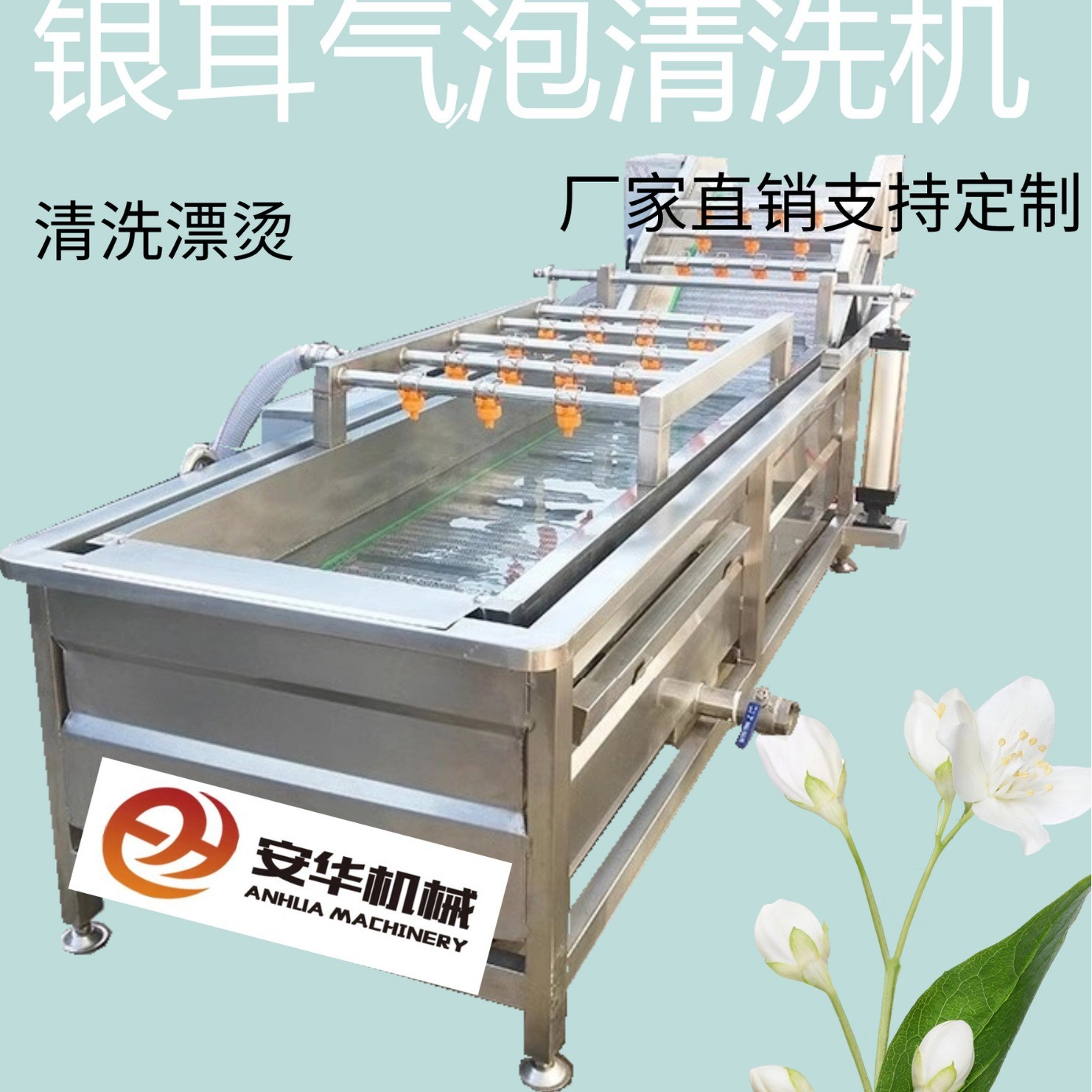 全自动果蔬气泡清洗机蓝莓圣女果银耳毛豆清洗机臭氧果蔬消毒设备