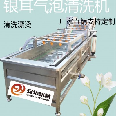 全自动果蔬气泡清洗机蓝莓圣女果银耳毛豆清洗机臭氧果蔬消毒设备