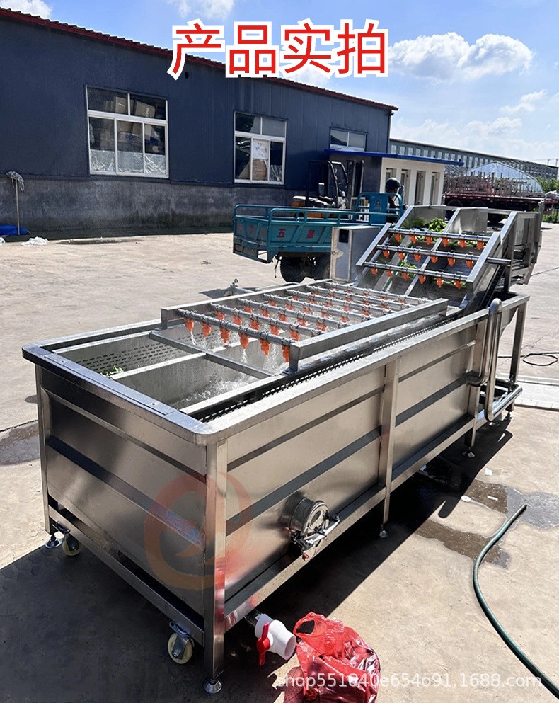 全自动果蔬气泡清洗机蓝莓圣女果银耳毛豆清洗机臭氧果蔬消毒设备图3