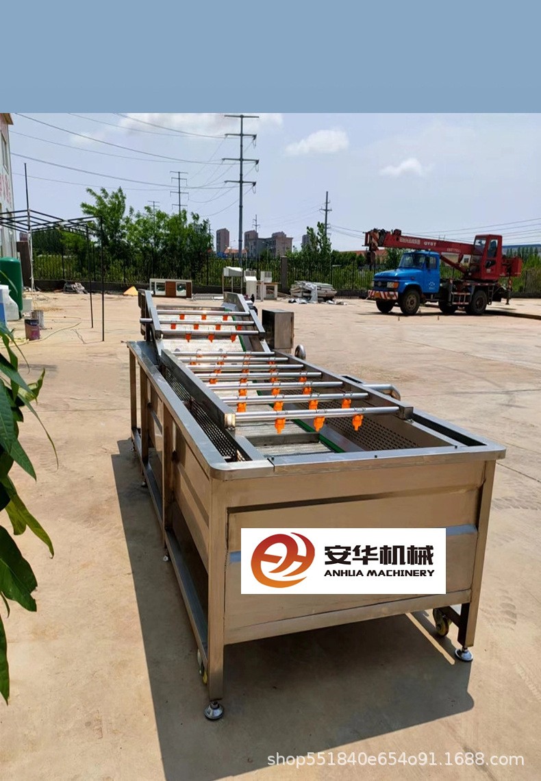 全自动果蔬气泡清洗机蓝莓圣女果银耳毛豆清洗机臭氧果蔬消毒设备图4