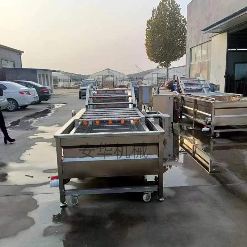 天麻药材气泡清洗机 果蔬清洗加工流水线 大枣橘子萝卜芹菜洗菜机图3