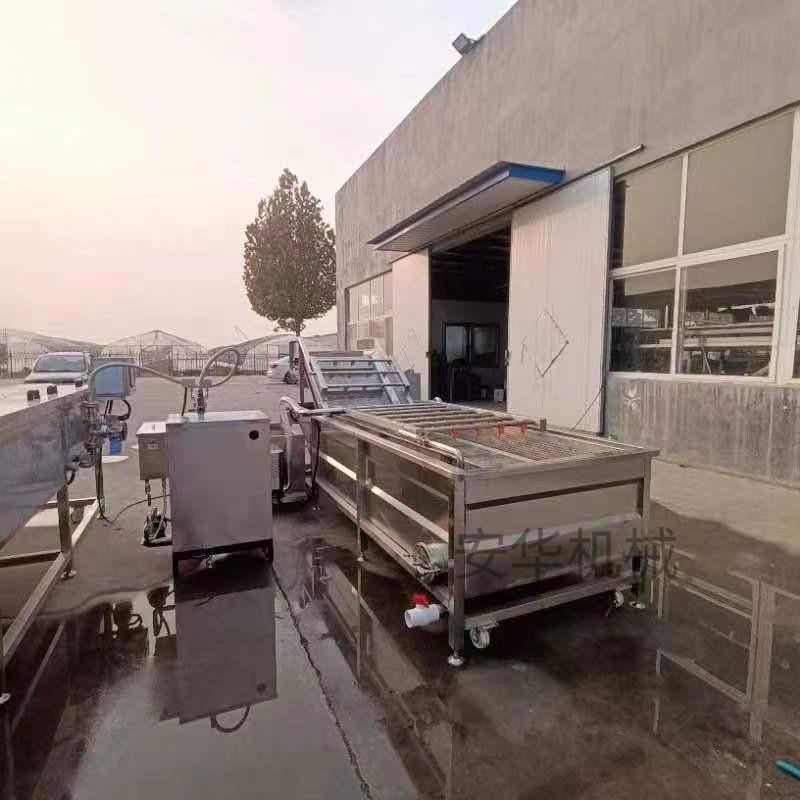 天麻药材气泡清洗机 果蔬清洗加工流水线 大枣橘子萝卜芹菜洗菜机图2