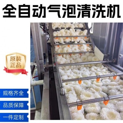 天麻药材气泡清洗机 果蔬清洗加工流水线 大枣橘子萝卜芹菜洗菜机