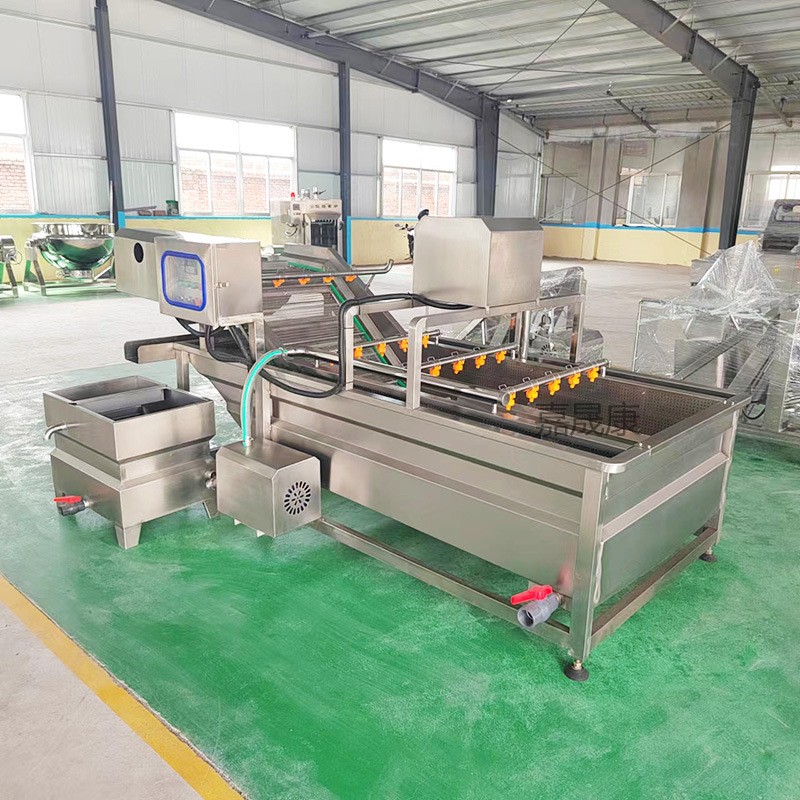 全自动果蔬气泡清洗机大姜毛豆山野菜蘑菇清洗设备喷淋式洗菜机图4