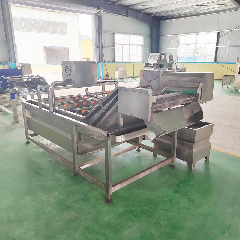 全自动苹果气泡清洗机不锈钢商用预制菜清洗设备果蔬气泡清洗机图3