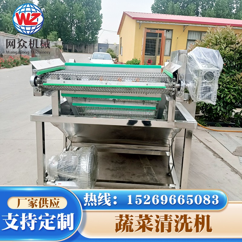 毛豆气泡果蔬清洗机 商用多功能酸菜脱盐清洗机 辣椒喷淋清洗设备图4