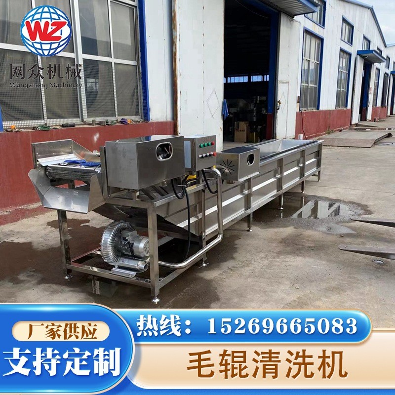 全自动毛刷土豆清洗机 毛辊红薯野菜清洗去皮机 工业大型洗姜机