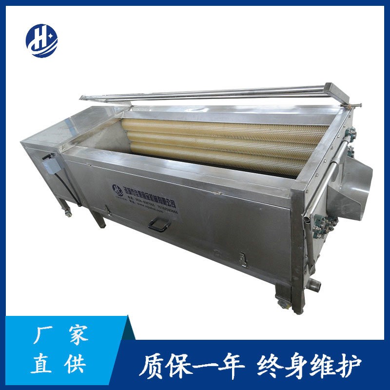 不锈钢去皮毛辊清洗机 毛刷土豆红薯清洗机 全自动小型莲藕磨皮机图5