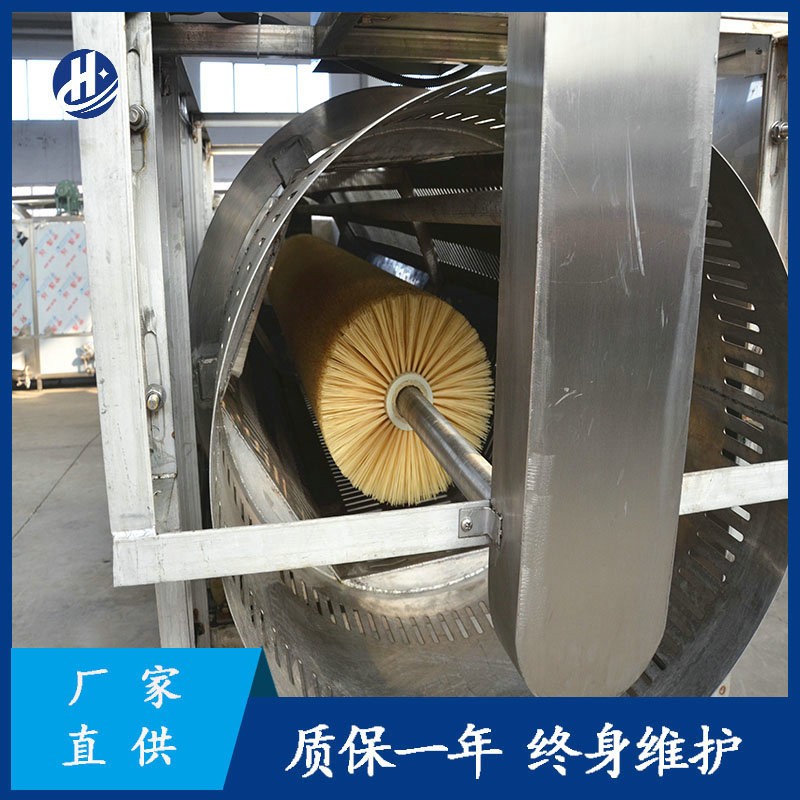 不锈钢去皮毛辊清洗机 毛刷土豆红薯清洗机 全自动小型莲藕磨皮机图4