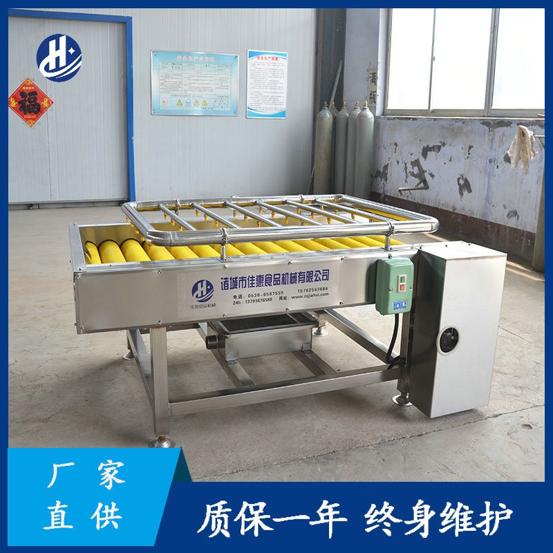 不锈钢去皮毛辊清洗机 毛刷土豆红薯清洗机 全自动小型莲藕磨皮机图3