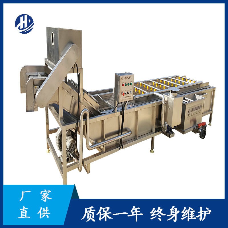 推荐蓝莓圣女果多功能气泡清洗机叶类蔬菜气泡翻滚清洗设备图5