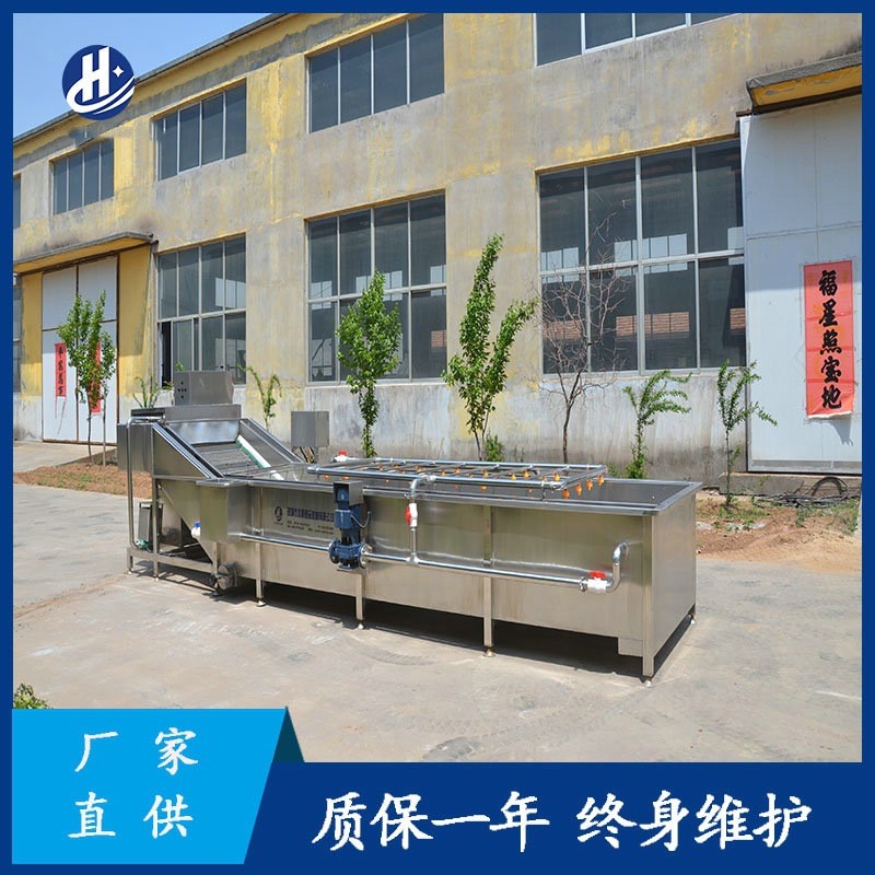 果蔬气泡清洗机 厂家供应红枣气泡喷淋清洗设备 叶类蔬菜气泡清洗图4