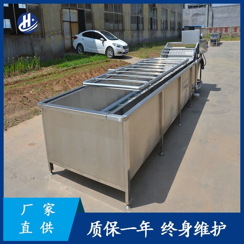 果蔬气泡清洗机 厂家供应红枣气泡喷淋清洗设备 叶类蔬菜气泡清洗图2