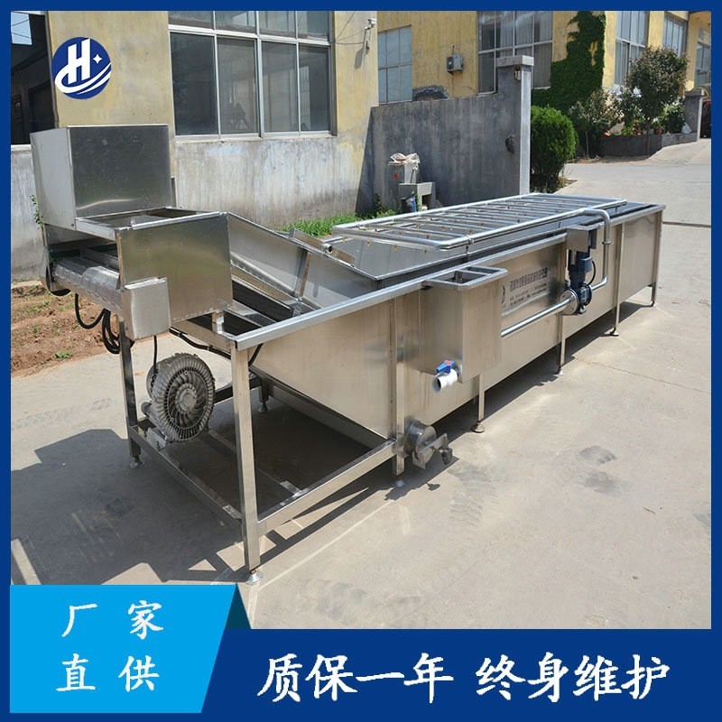 果蔬气泡清洗机 厂家供应红枣气泡喷淋清洗设备 叶类蔬菜气泡清洗图3