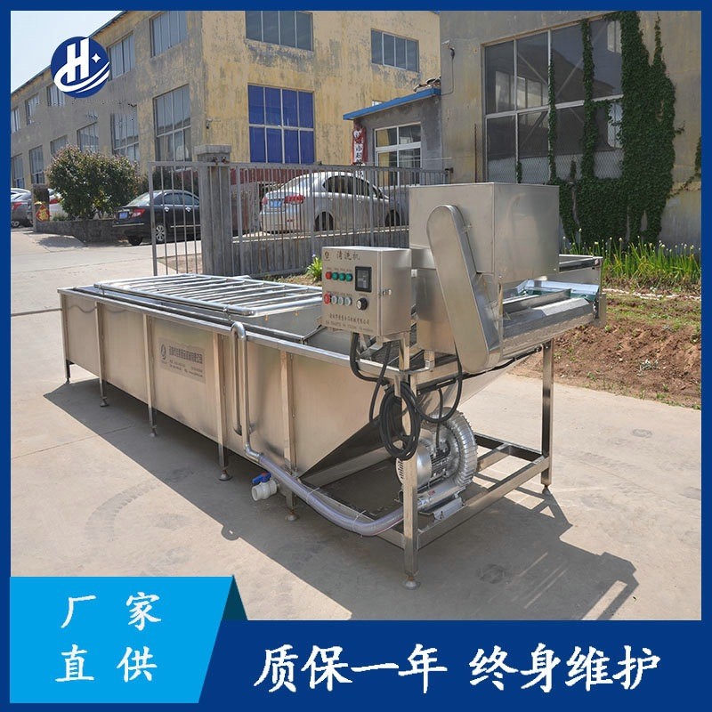 果蔬气泡清洗机 厂家供应红枣气泡喷淋清洗设备 叶类蔬菜气泡清洗