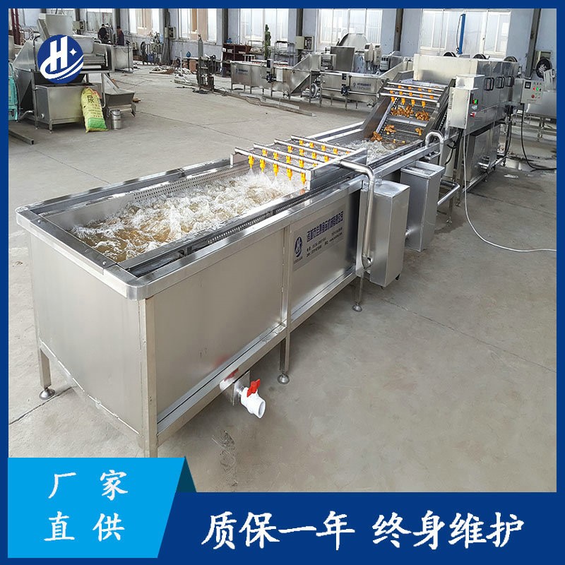 大型自动化洗姜机器 平行式高压喷淋清洗机 鲜姜姜芽生姜清洗设备图2