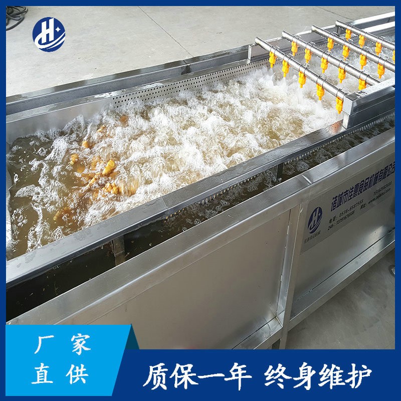 大型自动化洗姜机器 平行式高压喷淋清洗机 鲜姜姜芽生姜清洗设备