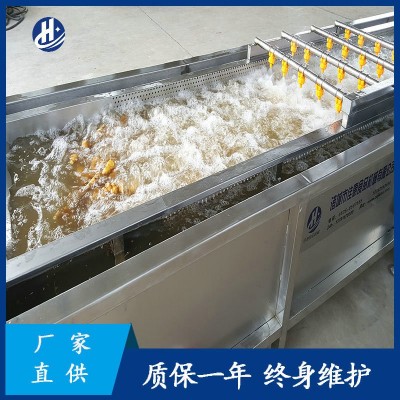 大型自动化洗姜机器 平行式高压喷淋清洗机 鲜姜姜芽生姜清洗设备