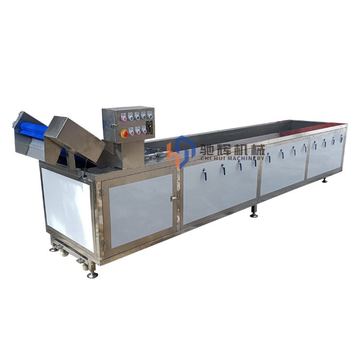 驰辉机械果蔬清洗流水线 辣椒清洗线 加长型多功能臭氧洗菜机图4