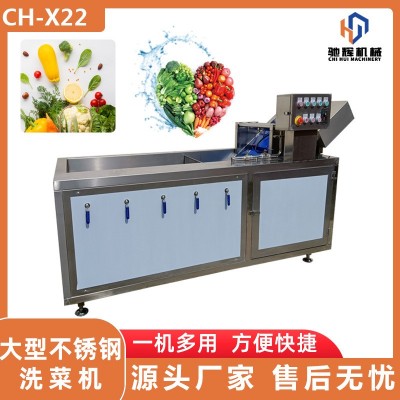 广东叶菜蔬菜清洗机厂家 大枣灰枣气泡喷淋双重清洗机 清洗风干线