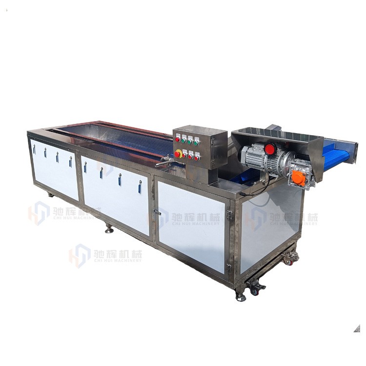 驰辉机械大型无损果蔬清洗机 连续式菠萝清洗机 柚子气泡清洗机图5