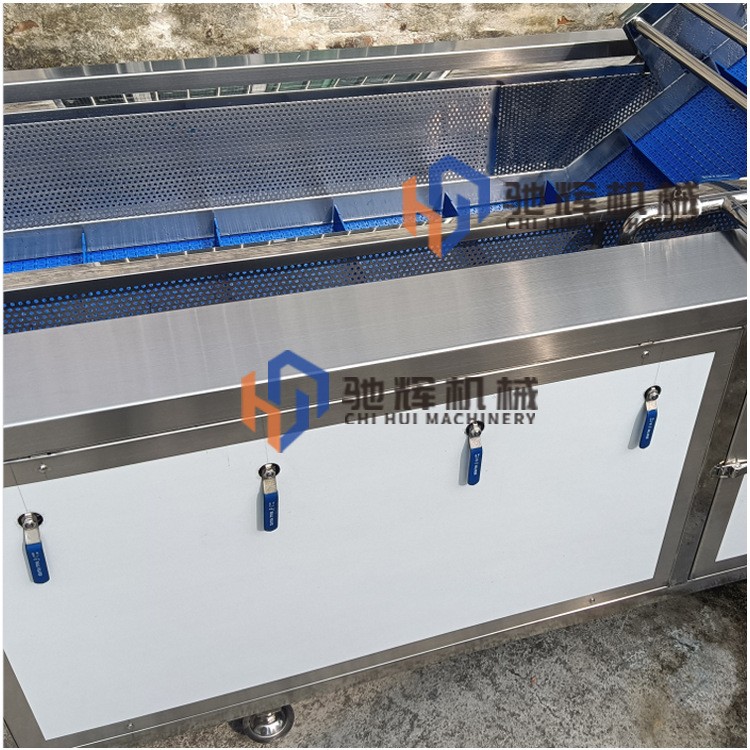 驰辉机械大型无损果蔬清洗机 连续式菠萝清洗机 柚子气泡清洗机图4