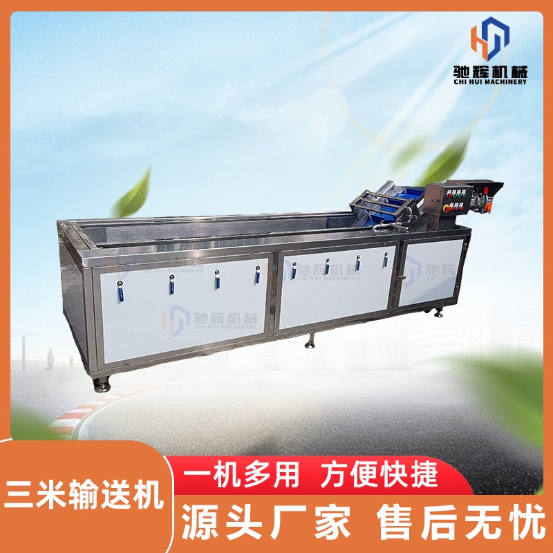 驰辉机械大型无损果蔬清洗机 连续式菠萝清洗机 柚子气泡清洗机