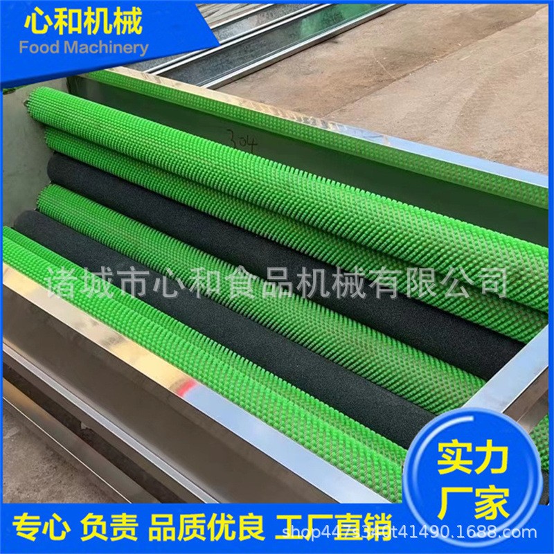 现货地瓜芋头毛辊清洗机土豆去皮脱皮机 土豆萝卜大型商用洗菜机图3