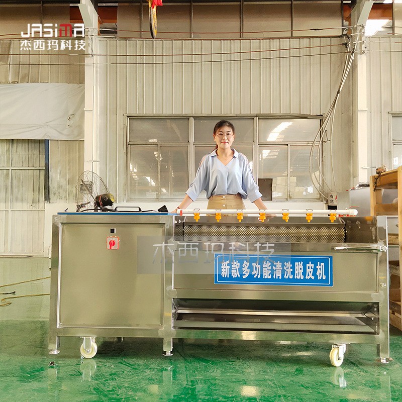 毛辊去皮清洗机 自动出料不锈钢土豆清洗机 供应毛刷式土豆清洗机图4