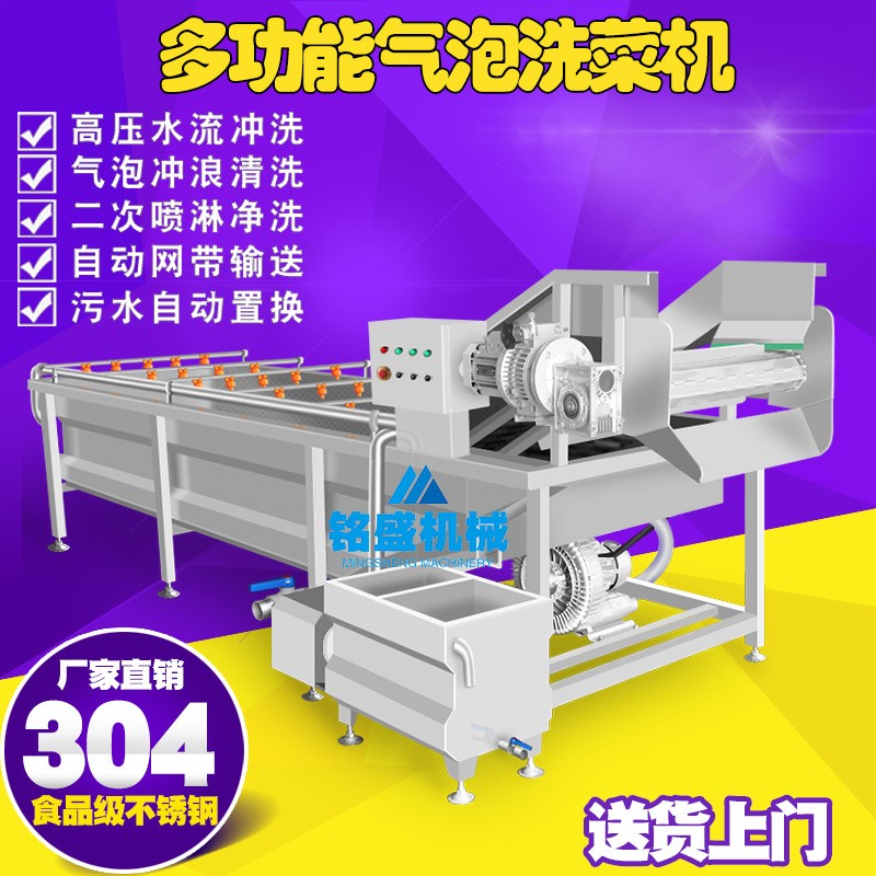全自动蔬菜清洗机 不锈钢榨菜加工生产线设备 剁椒气泡清洗机图4