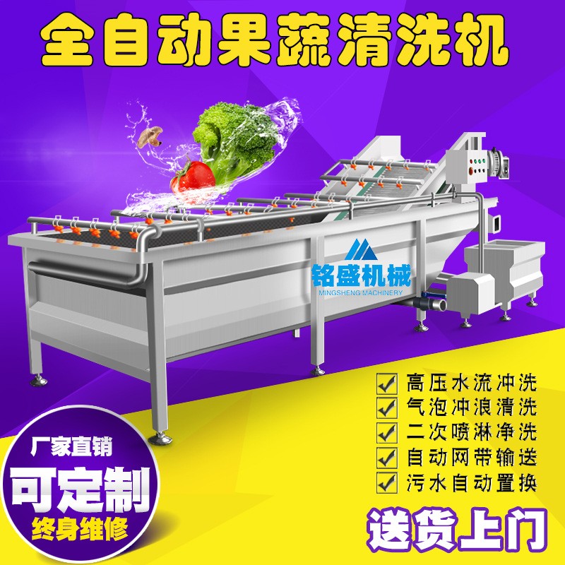全自动蔬菜清洗机 不锈钢榨菜加工生产线设备 剁椒气泡清洗机图3