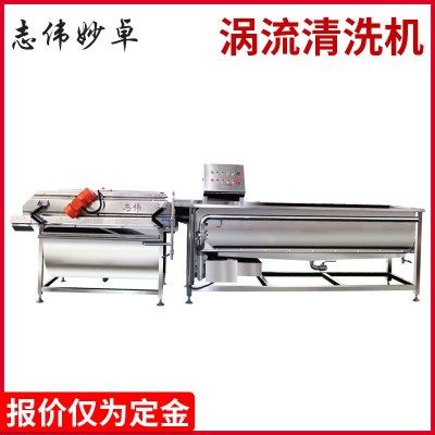 涡流洗菜机 果蔬气泡清洗机 自动洗菜机涡流震动沥水洗菜机