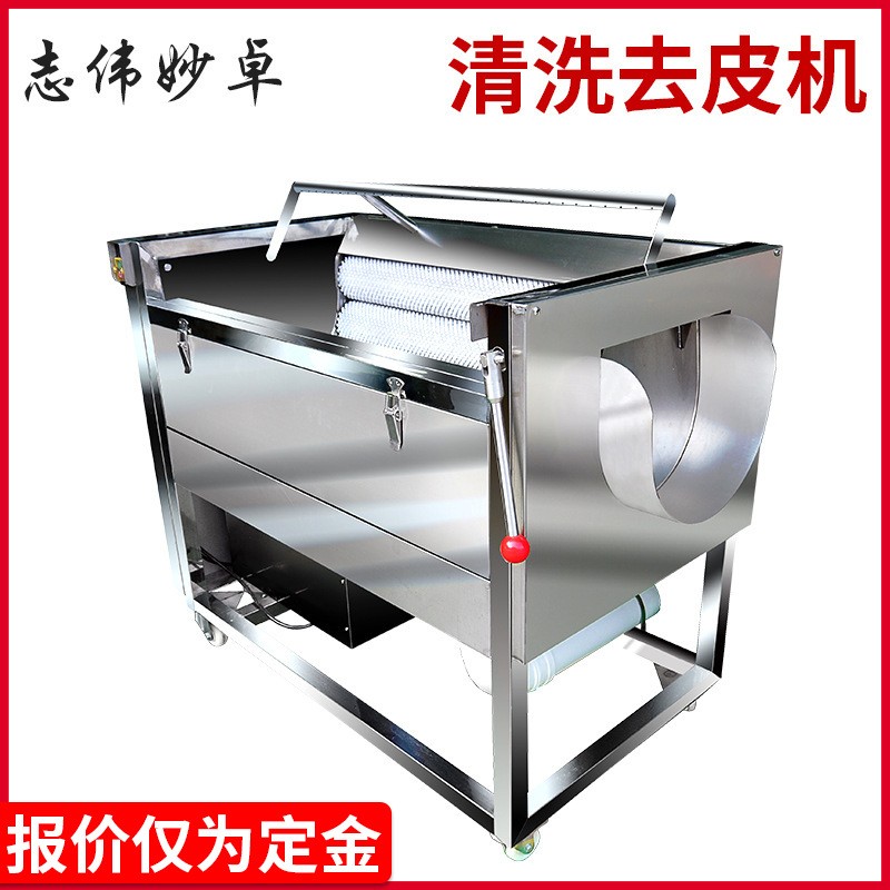志伟ZW-909中型土豆去皮机 马铃薯清洗机，芋头萝卜毛刷清洗机