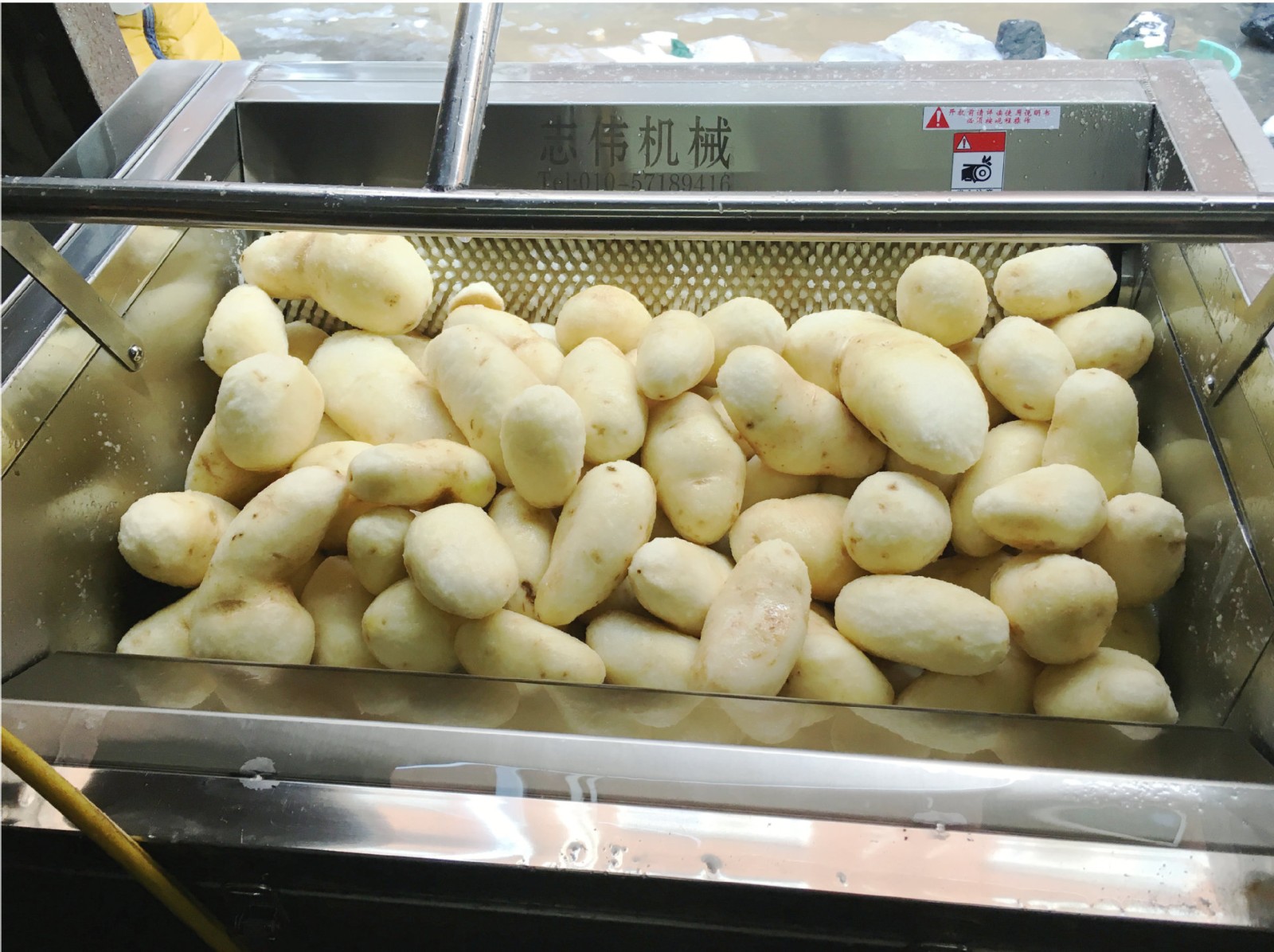 清洗机去皮机、磨皮机、土豆莲藕去皮机、猪蹄，猪耳朵清洗机图5