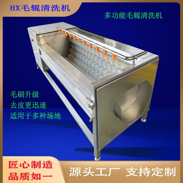 全自动毛辊清洗机果蔬小型莲藕磨皮机商用多功能山药芋头去皮图2